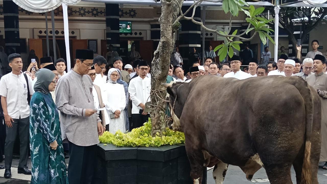 Purbaya Yudhi Sadewa Salurkan Dua Sapi Swiss Berbobot 890 Kilogram untuk Kurban Iduladha