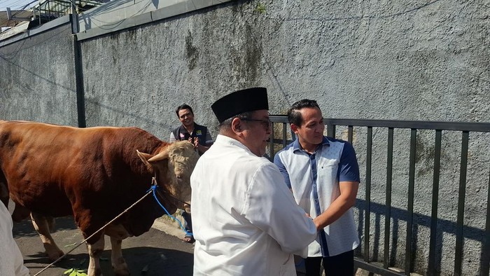 Warga Gandaria Antusias Sambut Sapi Kurban 1 Ton Bantuan Rano Karno