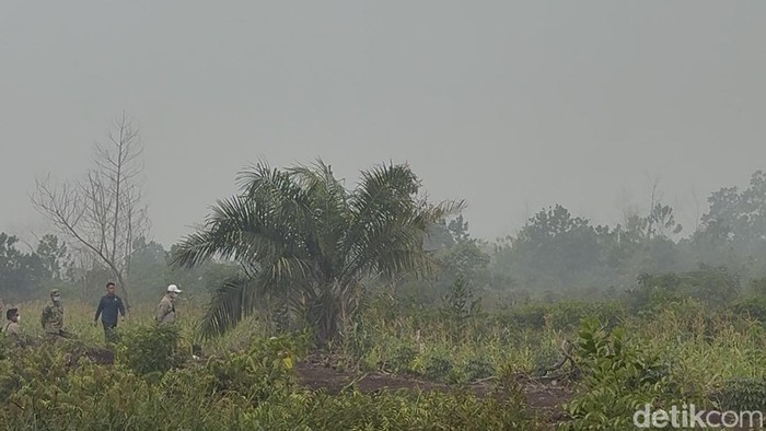 Langit Sungai Raya Diselimuti Kabut Asap, Bau Gosong Menyengat dari Karhutla di Desa Limbung