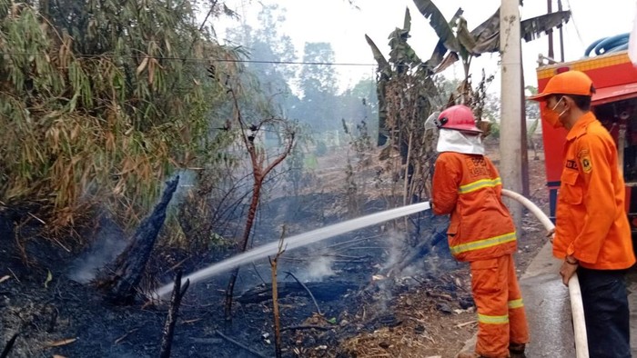 Pembakaran Sampah Picu Kebakaran Lahan 500 Meter Persegi di Tenjo Bogor