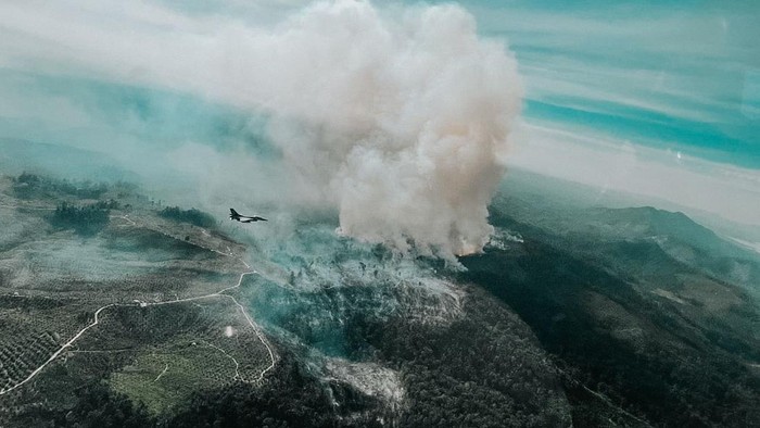 Polda Riau Tangani 45 Kasus Karhutla, Jumlah Tersangka Naik Menjadi 49 Orang